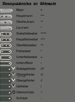 Dienstgradabzeichen2.gif