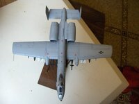 A-10thunderbolt038.jpg