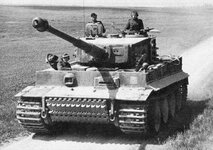 tiger24.jpg