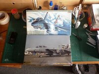 F-14001_zps8da4ef4e.jpg