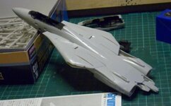 F-14010_zpsfa4016e0.jpg