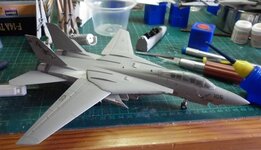 F-14016_zps4b30fe28.jpg