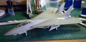 F-14017_zps15d30369.jpg