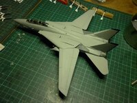 F-14036_zpse2368a59.jpg