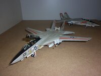 Tomcat02_zps4259a896.jpg