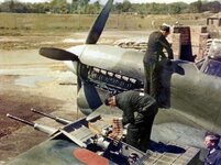 typhoon_r8656_257_sq_fm_l_warmwell_1943.jpg