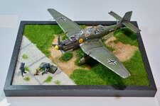 STUKA__2024113NCZ_80919_NIKON Z 8_000004_small.jpg