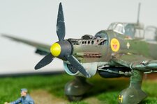 STUKA__2024113NCZ_80919_NIKON Z 8_000006_small.jpg