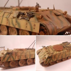 BERGEPANTHER Early