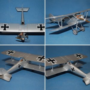 Pfalz D.III