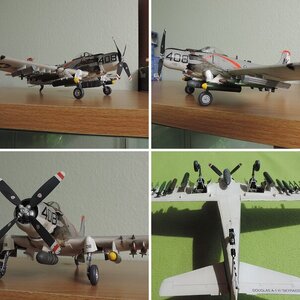 skyraider