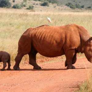 1280px RLPark SouthAfrica