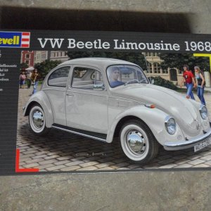 Beetle 1