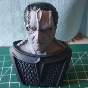 Cardassian 2  done except for his face