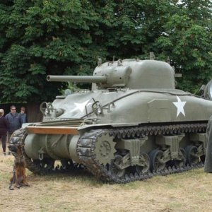 SME Sherman2