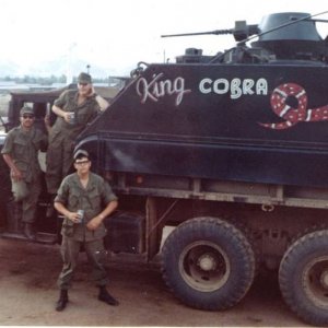 1742King Cobra