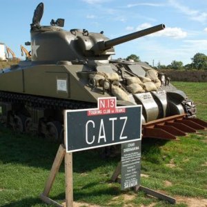 Catz35