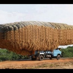 truck hay