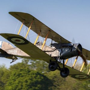 Bristol F2b 15