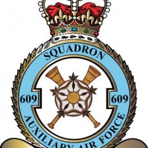 RAF 609Sqn Emblem