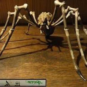 Shelob (28mm)