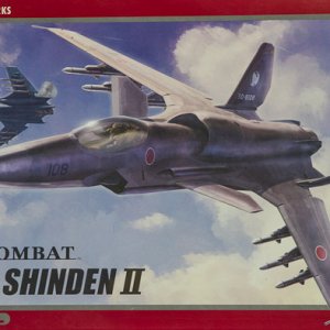 shindenII hasegawa