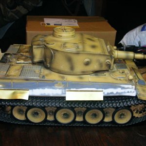 TIGER I (25)