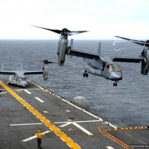 Osprey Optimized