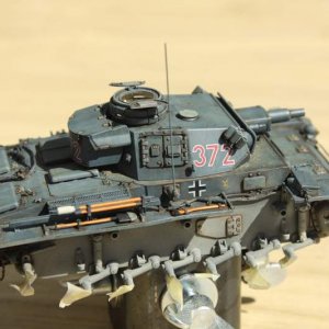 IMG 0181 IFV