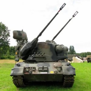 gepard1