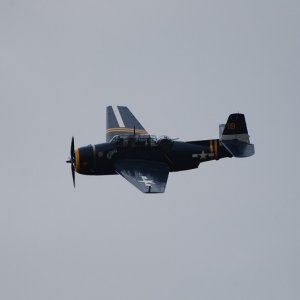 Avenger In Flight