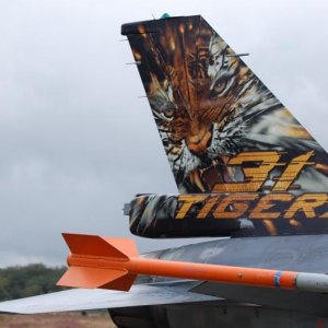 F16 Tigertail