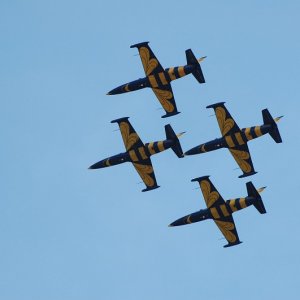 L 39  Baltic Bees In Flight 2