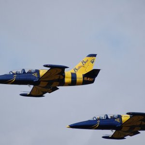 L 39  Baltic Bees In Flight