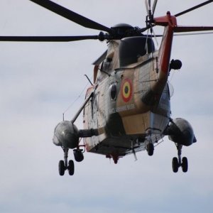 Seaking 2