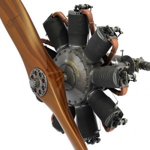 Fokker DR.I engine 02