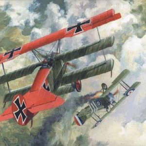 Fokker DR.I 10