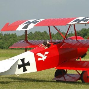 Fokker DR.I 15