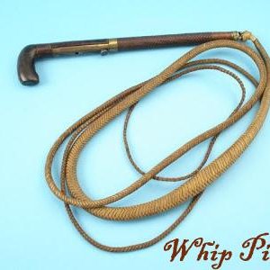 whip pistol2