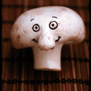 mushroom1