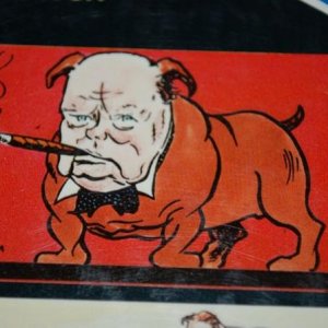 Bulldog1