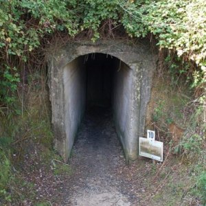 Tunnel