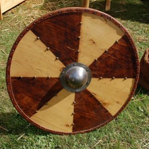 Vikings schild3