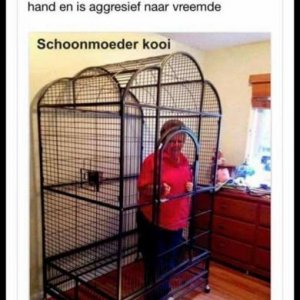 schoonmoeder