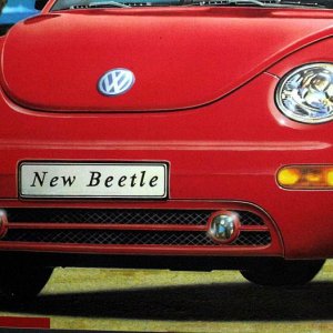 beetle 012