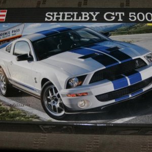 shelby001