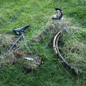 Overgrown Bike pure photography