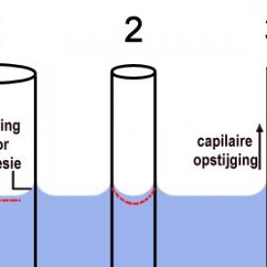 Capillaire opstijging