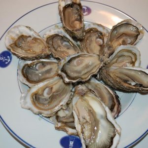 Oesters