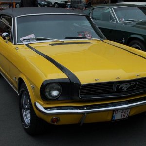 Auto Mustang4